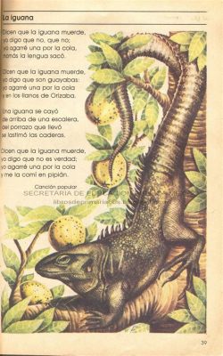  La Iguana y el Sol: Un Encantador Relato de Amistad Imposible y la Sabiduría Ancestral